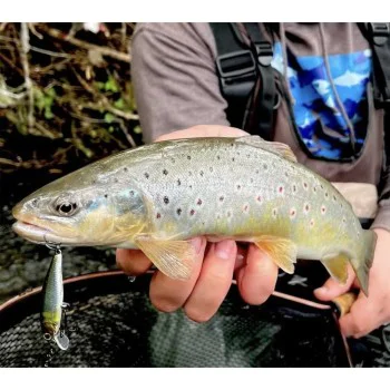 Воблер JACKALL Tiny Fry 50SP 50mm 2.7g Suspending