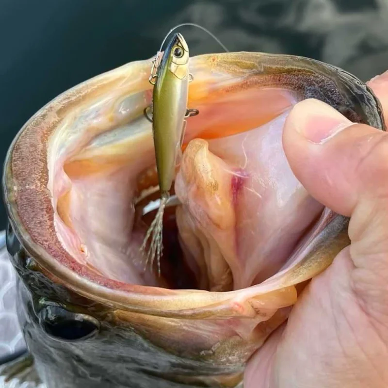 Воблер JACKALL Live Darter 52mm 4.5g Sinking