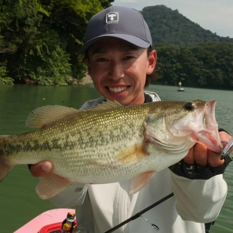 Воблер JACKALL Live Darter 52mm 4.5g Sinking