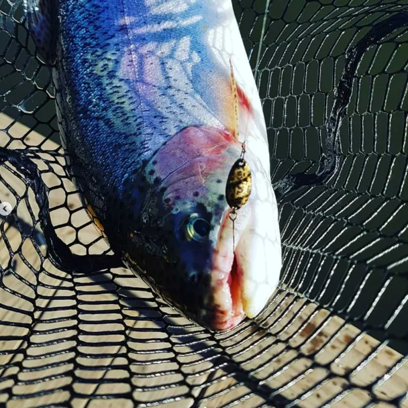 Клатушка JACKALL T-Grovel 2g