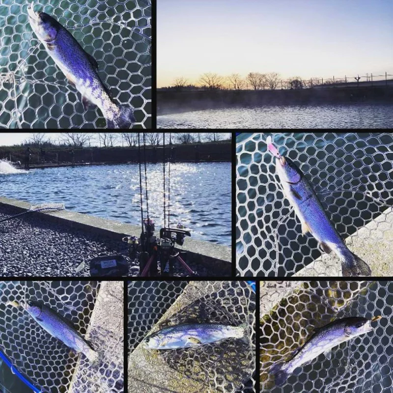 Воблер JACKALL Mitts SR-Dry 28mm 1.2g