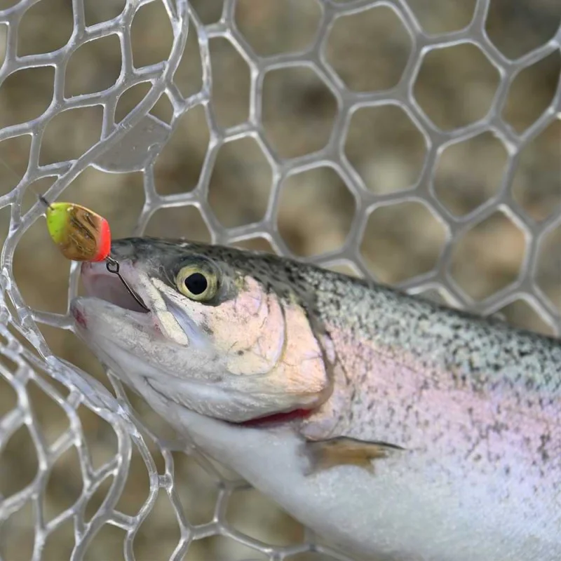 Клатушка JACKALL Apeed 2.3g