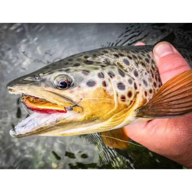 Воблер JACKSON Artist FR55 55mm 4g Sinking