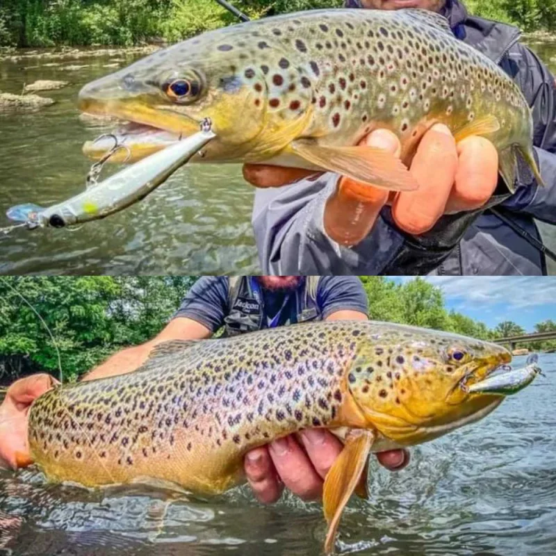 Воблер JACKSON Artist FR55 55mm 4g Sinking