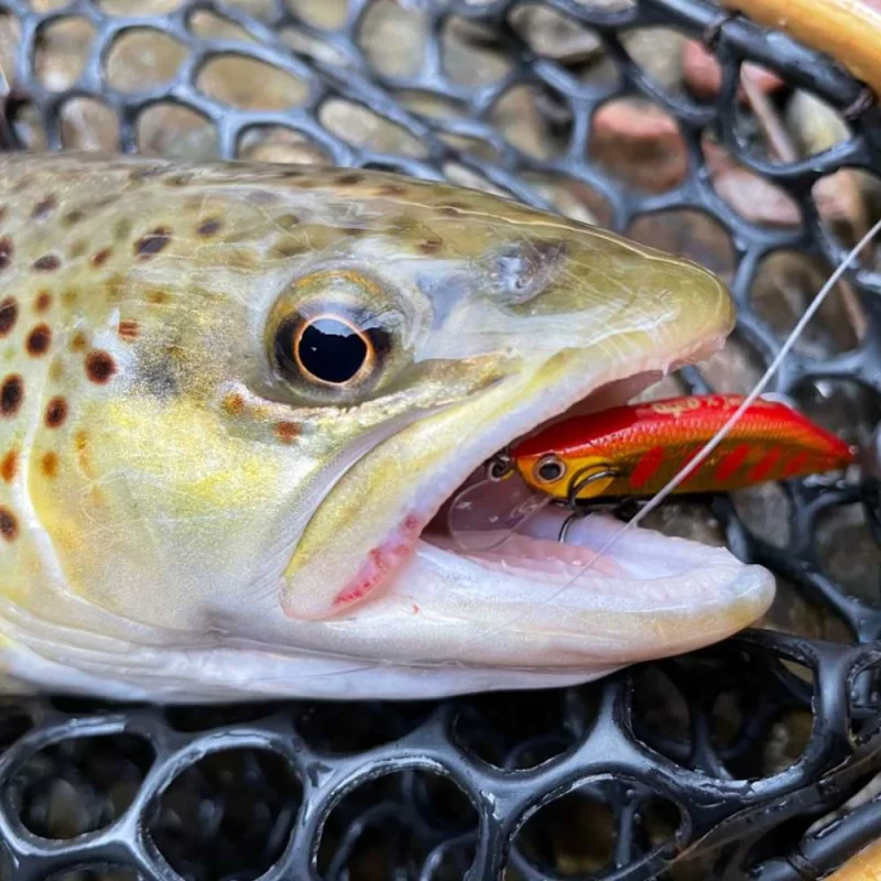 Воблер JACKSON Meteora 52 52mm 5g Sinking