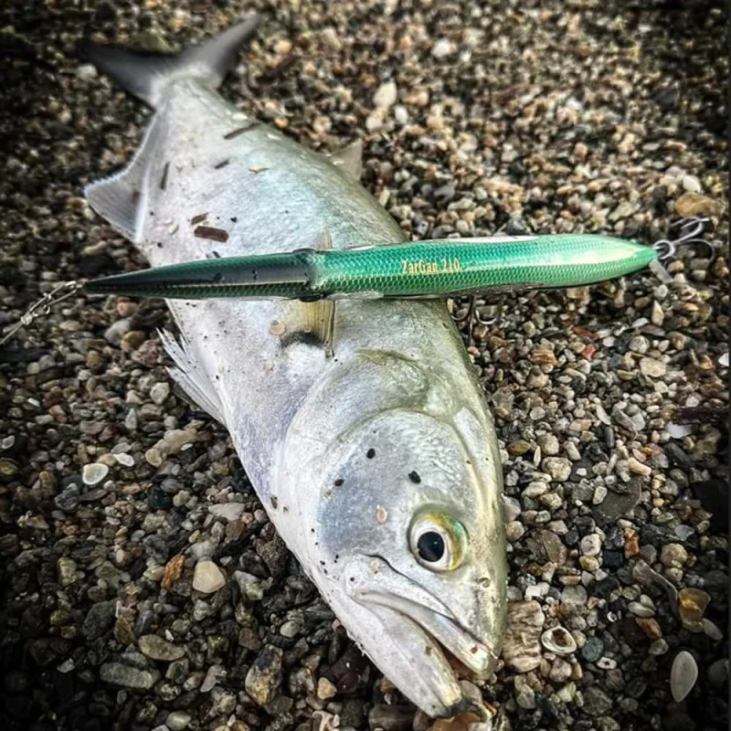 Воблер LAST CAST ZarGan 210F 210mm 31g Floating