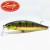 Aurora Gold Northern Perch - - КОД : 802897238845 