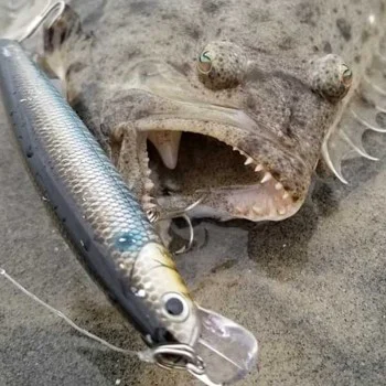 Воблер Lucky Craft Flash Minnow 110 SP MS