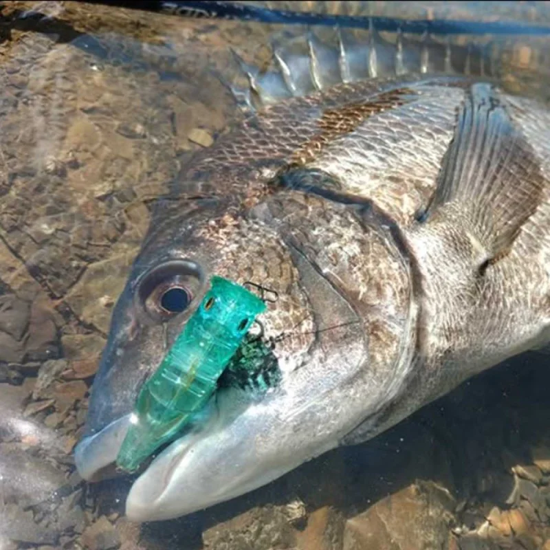 Попер MEGABASS Popping Duck 60mm 6.5g Floating