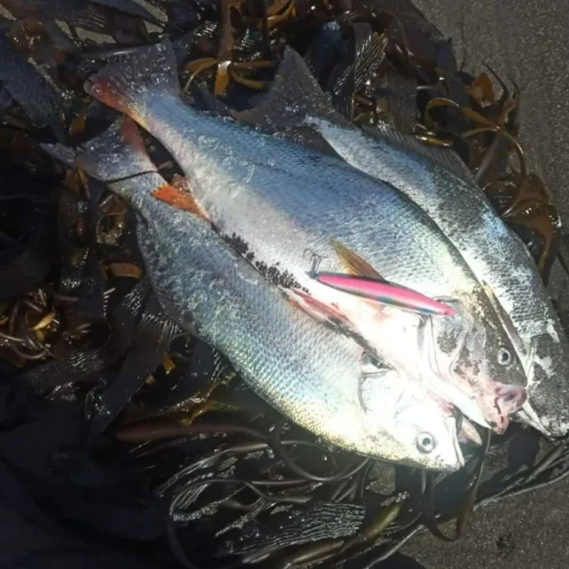 Воблер MEGABASS Marine Gang 90S 90mm 11.5g Sinking