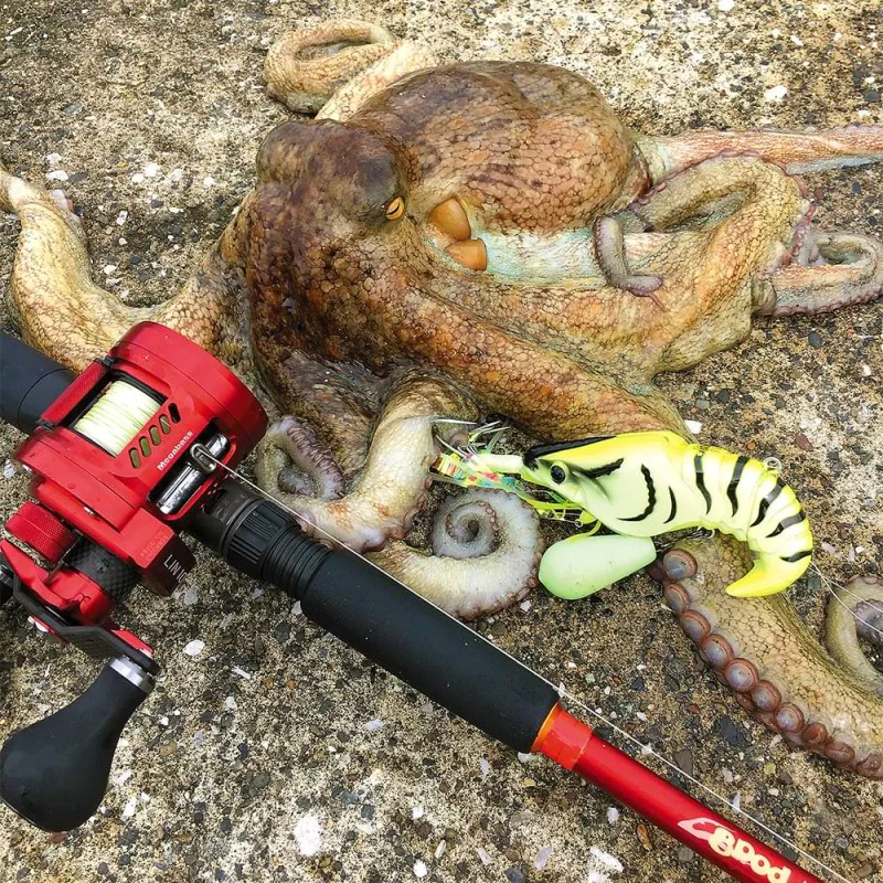 Примамка за октопод MEGABASS Taco-Le 80 80mm 40g Sinking