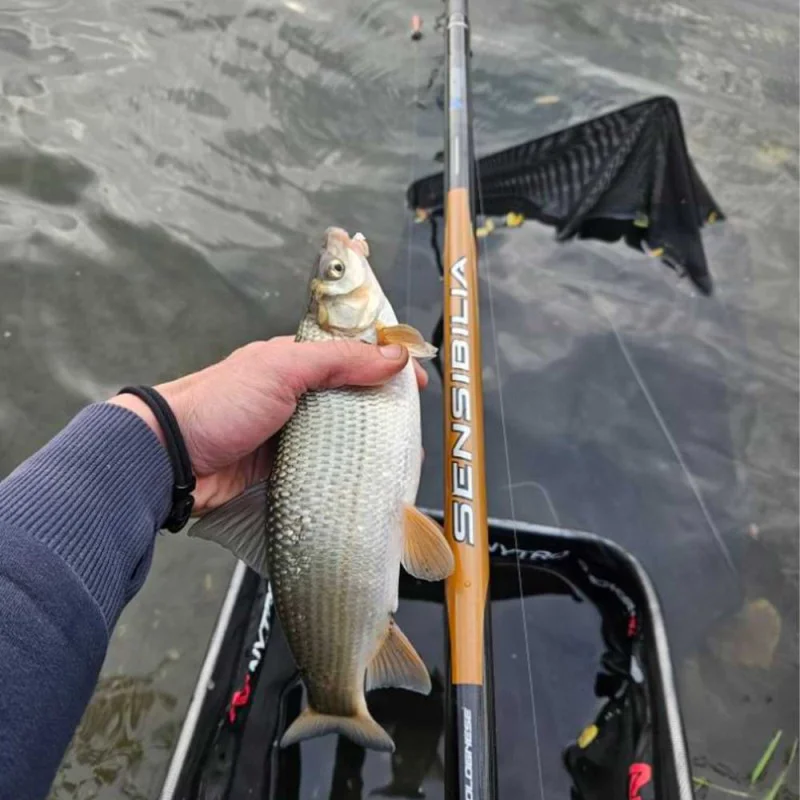 Хляб за риболов MF Fishing Bread