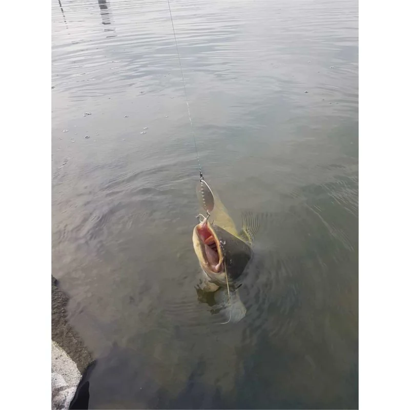 Блесна за сом PETROV SPINNER Catfish - 30g