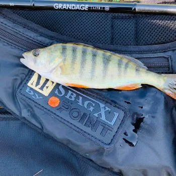 Спининг въдица APIA Grandage Lite 83