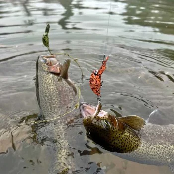 Воблер MUKAI FullSpec 33mm 3g Floating