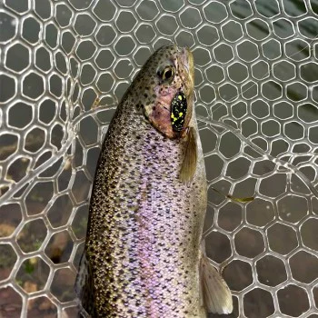 Клатушка MUKAI Looper Plus 1.6g