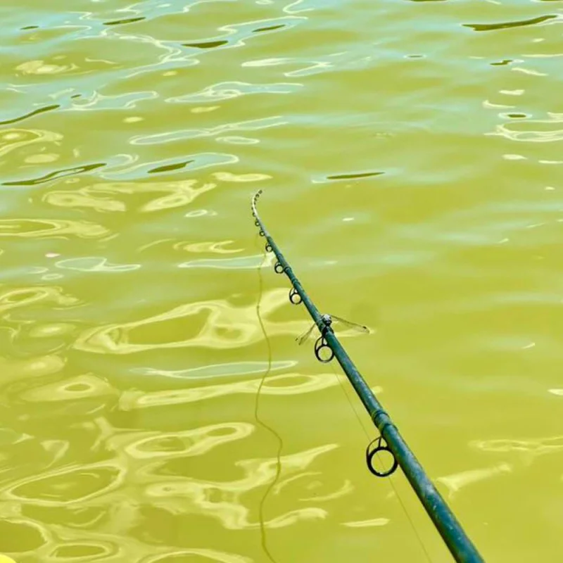 Фидер въдица MATRIX Horizon X Ultra Pro Distance Rods 4m 100g