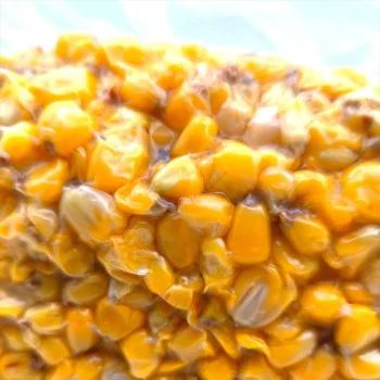 Царевица NBURN Baits Big Corn 1kg