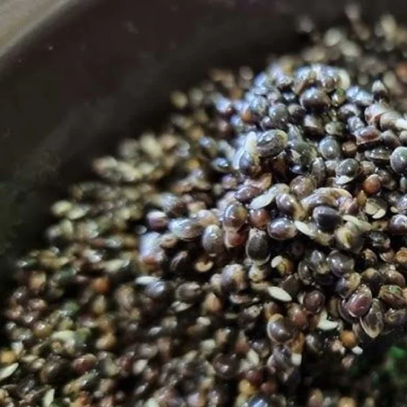 Коноп NBURN Baits Hemp 1kg