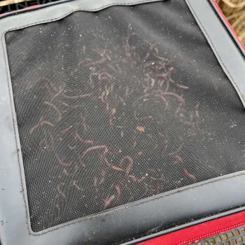 Кутия за стръв NYTRO Starkx 1414 EVA Live Bait Ventilation Bowl XSmall