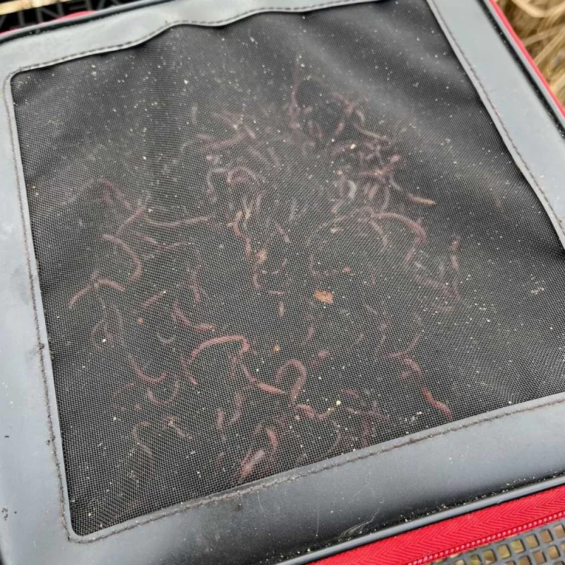 Кутия за стръв NYTRO Starkx 1414 EVA Live Bait Ventilation Bowl XSmall