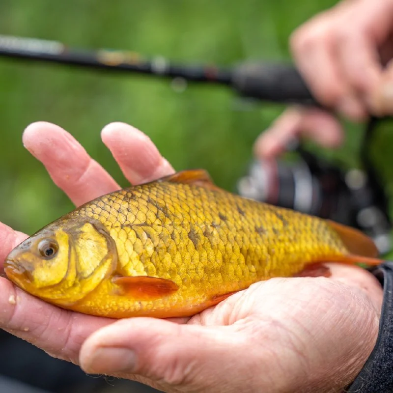 Глава за кеп NUFISH Quick Dry-Lite Landing Net 49cm