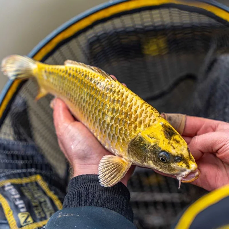 Плувка NUFISH JC Paste Float