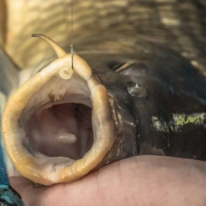 Куки без контра PRESTON KKM-B Barbless Hooks