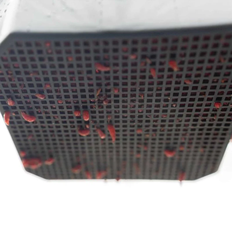 Сито за стръв PRESTON 2 Pint Maggot Riddle - 2023