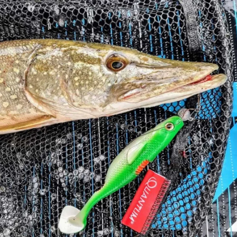 Силиконова примамка QUANTUM Bisswunder 30g 16cm 2pcs