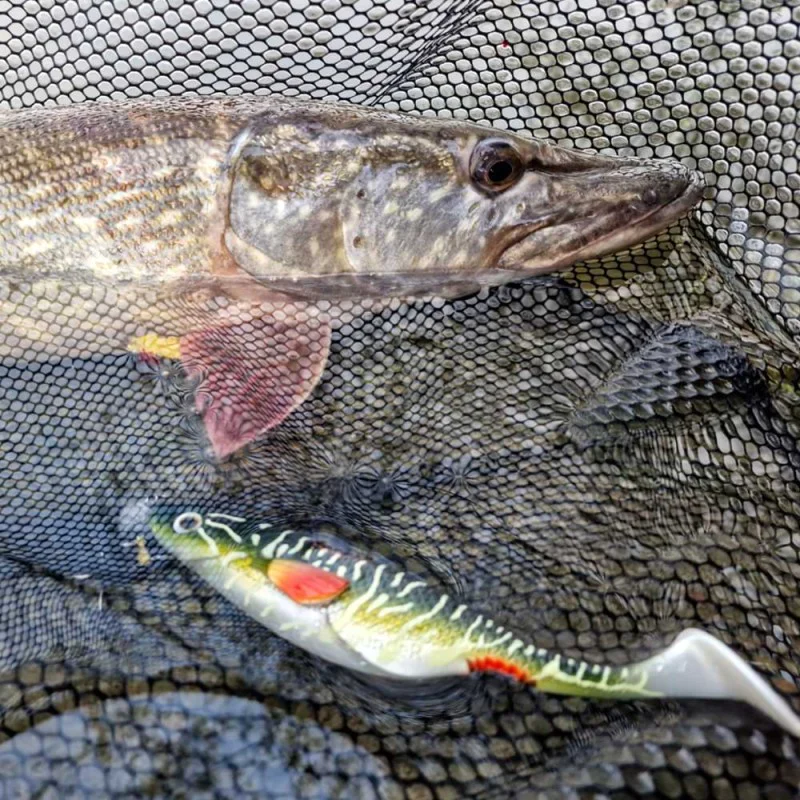 Силиконова примамка QUANTUM Bisswunder 30g 16cm 2pcs