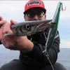 Воблер RAPALA MaxRap Long Range Minnow 120mm 20g