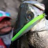 Воблер RAPALA MaxRap Long Range Minnow 120mm 20g