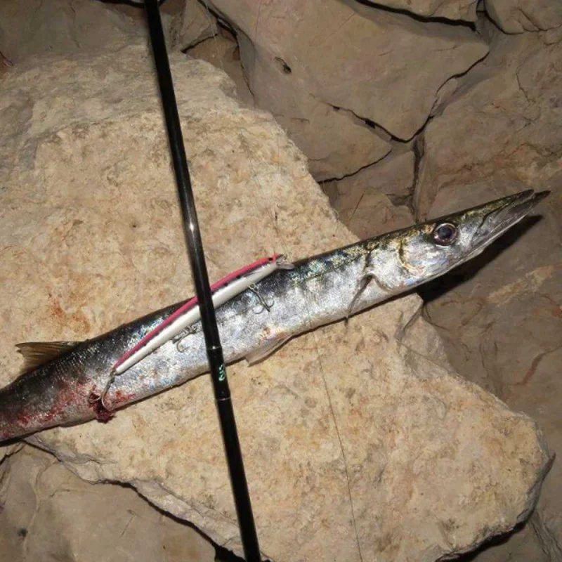 Воблер RAPALA MaxRap 130mm 15g