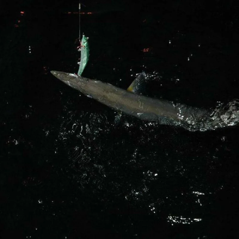 Воблер RAPALA MaxRap 150mm 23g