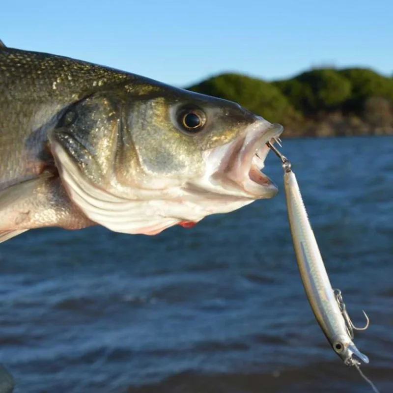 Воблер RAPALA MaxRap 110mm 13g