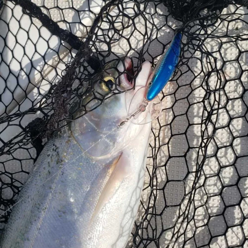 Воблер RAPALA Scatter Rap Tail Dancer 90mm 13g