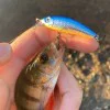 Воблер RAPALA Ultra Light Minnow 60mm 4g