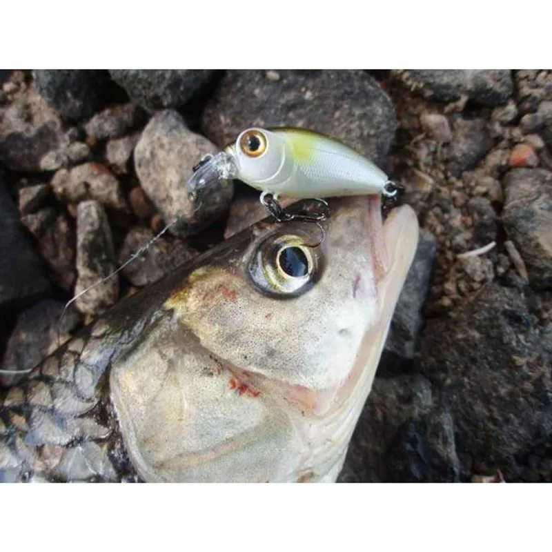 Воблер SMITH Camion SR 32mm 2.5g