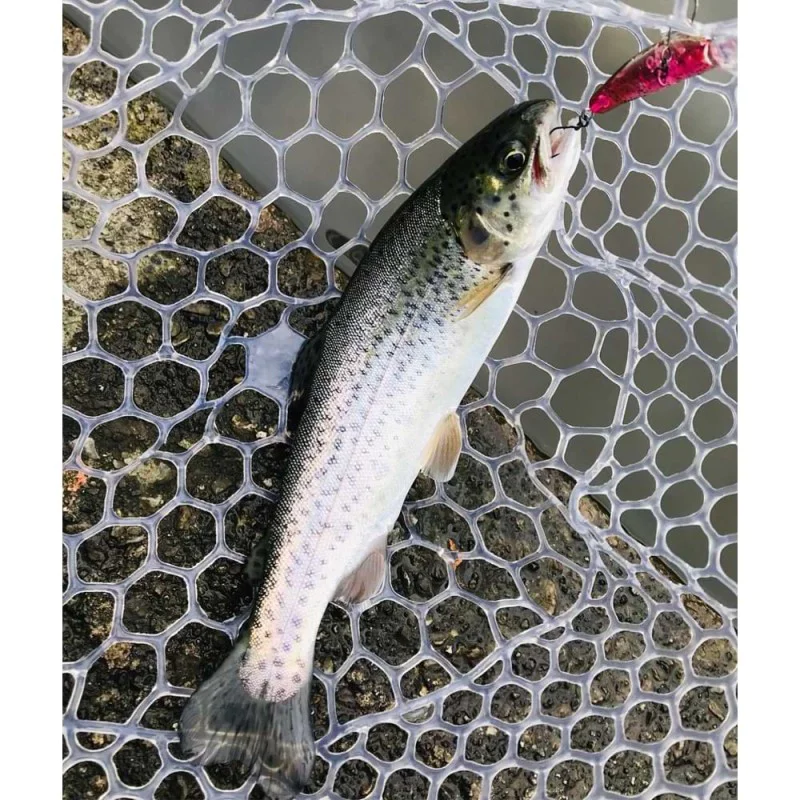 Воблер SMITH Calmo MR-F 38mm 1.8g Floating