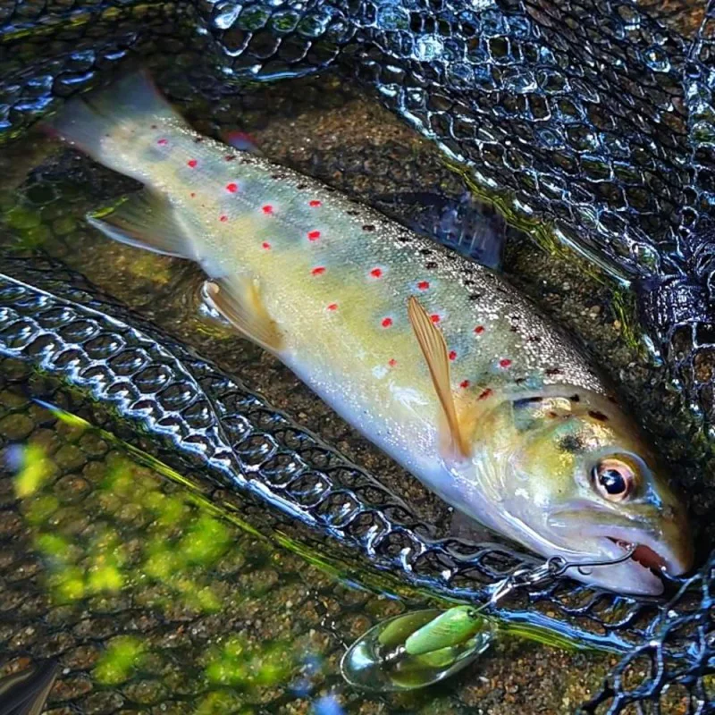 Блесна SMITH AR-S 6.0g