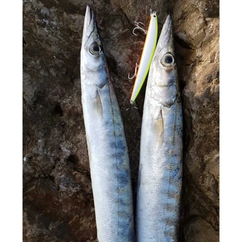 Воблер SMITH Haluca 165 S 165mm 33g Sinking