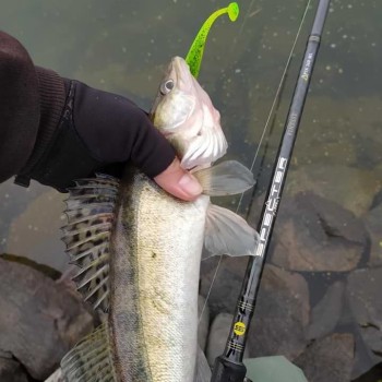 Спининг въдица SPRO Specter Finesse Spin 268 10-28 ML X-Fast