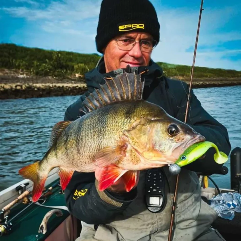 Спининг въдица SPRO Specter Finesse Vertical-C 190 10-28g ML X-Fast