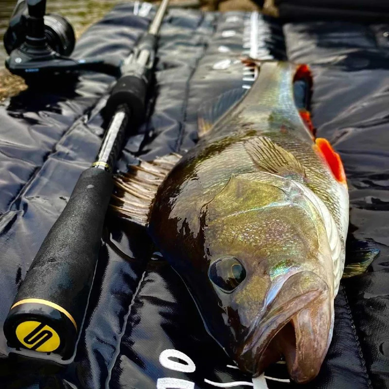 Спининг въдица SPRO Specter Expedition Spinning L 5-20g 210