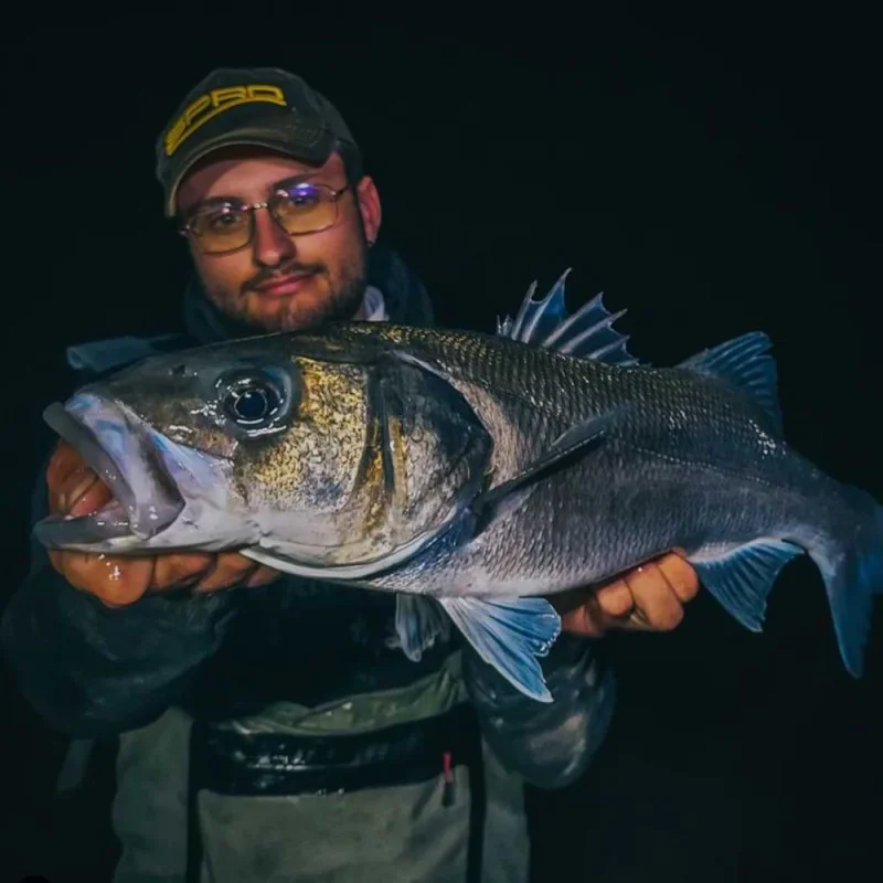 Спининг въдица SPRO Specter Finesse Sea Spin MH 2.30m 9-50g