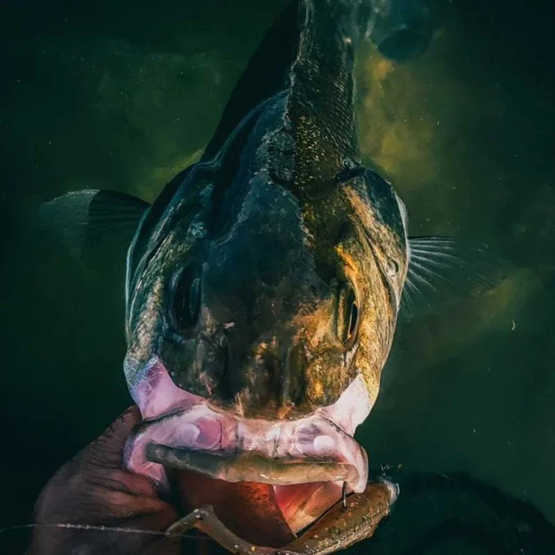 Спининг въдица SPRO Specter Finesse Sea Spin MH 2.30m 9-50g