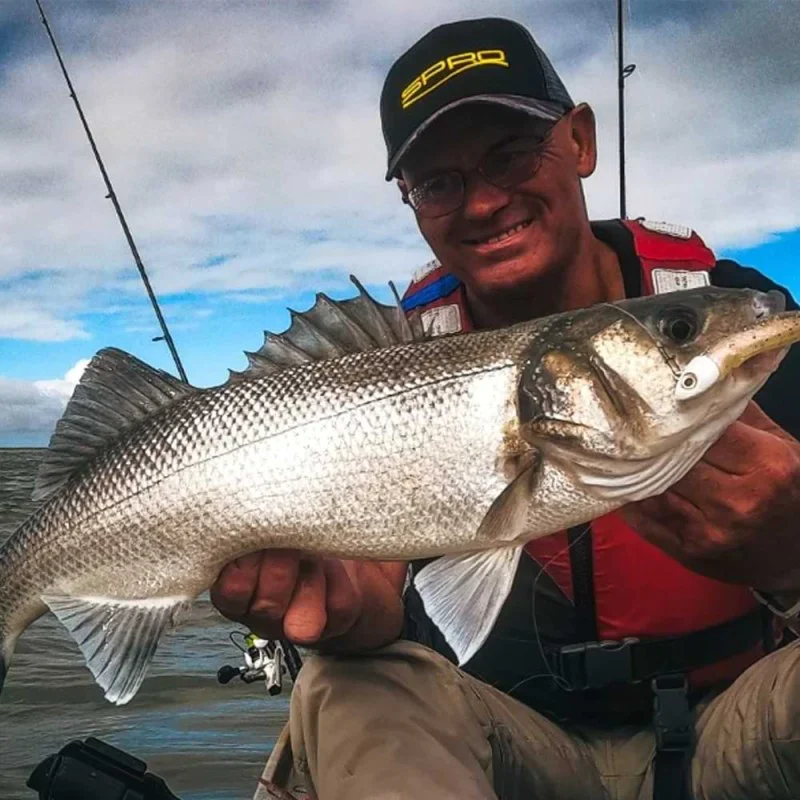 Спининг въдица SPRO Specter Finesse Sea Spin M 2.45m 7-40g