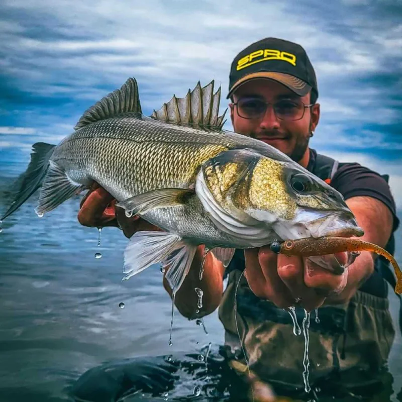 Спининг въдица SPRO Specter Finesse Sea Spin M 2.70m 7-40g