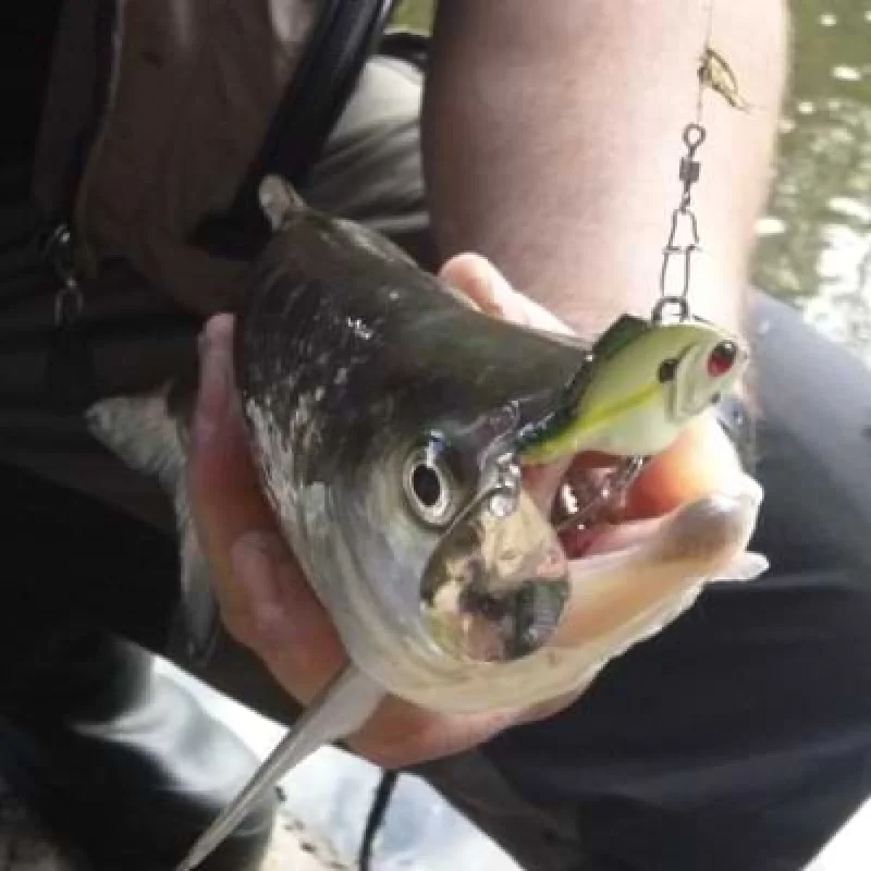 Спинер SPRO ASP Spinner UV 14g